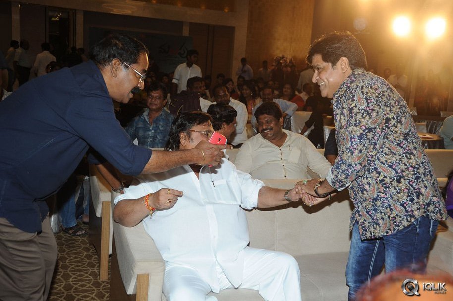 Malupu-Movie-Audio-Launch